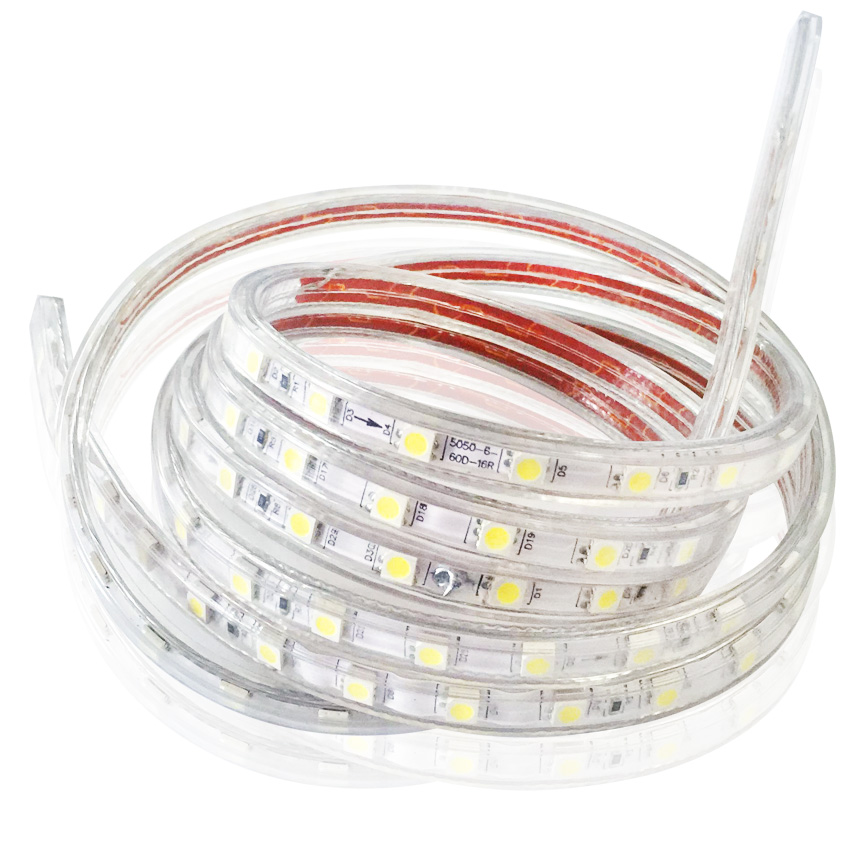 Bộ 10 mét Đèn LED dây 5050/220V 1 màu và đầu nối dây nguồn